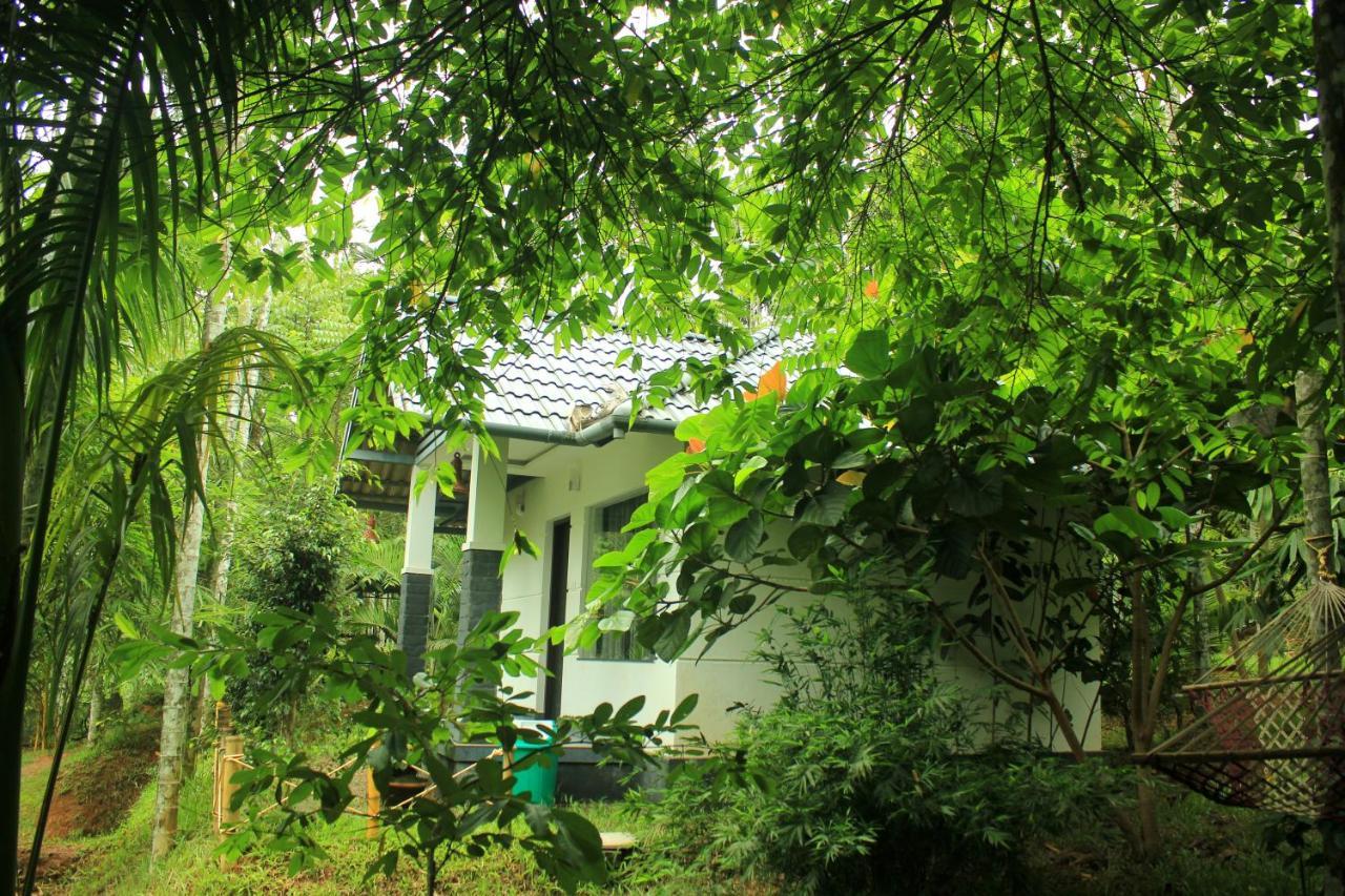 Vintage Garden Resort 술탄 바테리 외부 사진