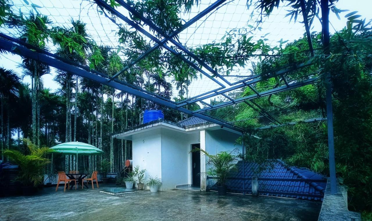 Vintage Garden Resort 술탄 바테리 외부 사진